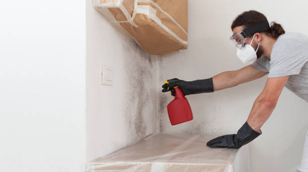 Professional Bathroom Mold Removal technician working in Lewisburg, TN